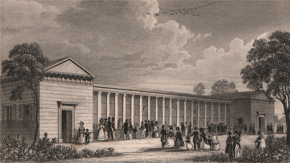 PARIS. Menagerie, Jardin des Plantes. BICKNELL 1845 old antique print picture